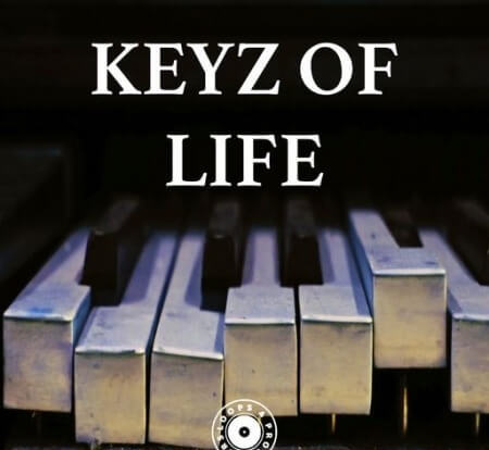 Loops 4 Producers Keyz Of Life WAV